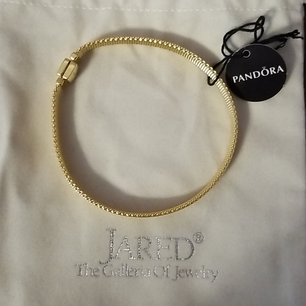 Brand New Pandora Gold Reflections Mesh Bracelet